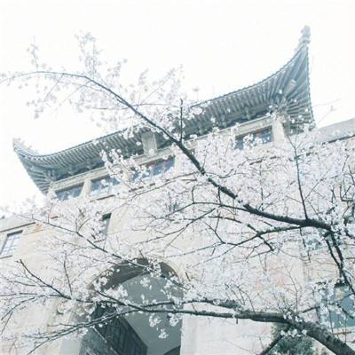 第二十六届上海国际电影节金爵盛典举行，胡和平宣布开幕，龚正致欢迎辞